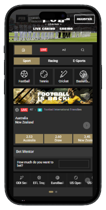 Pub Casino bitcoin sports betting  site screen